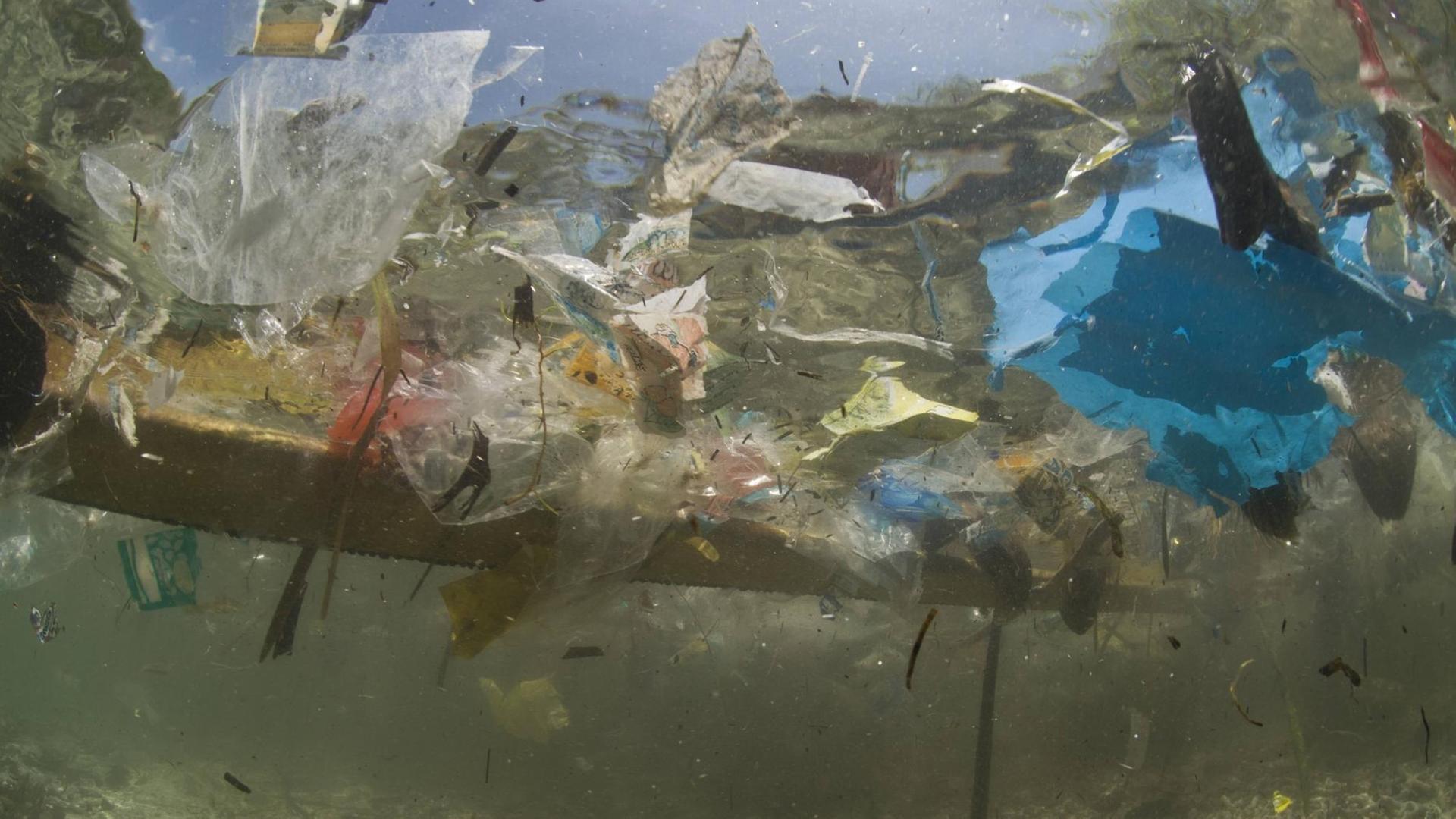 Unterwasseraufnahme: Plastikmüll im Pazifischen Ozean vor der Küste der Philippinen Unterwasseraufnahme: Plastikmüll im Pazifischen Ozean vor der Küste der Philippinen