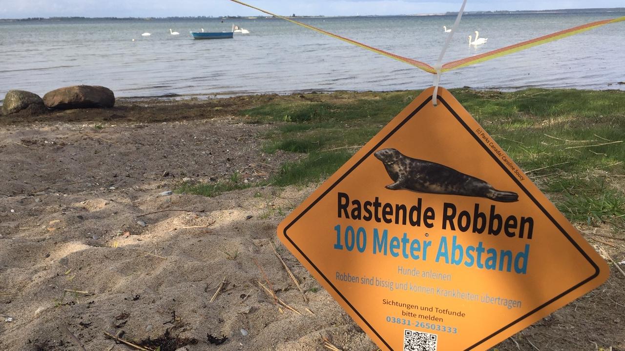 Ein gelbes Schild markiert Orte, wo Robben Ruhe suchen. Vorsicht rastende Robbe, steht auf dem Schild.