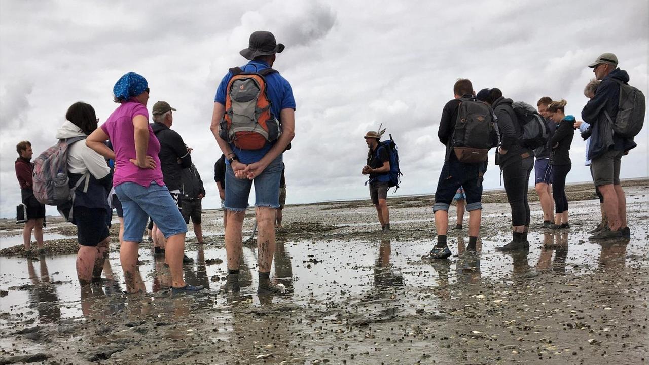 Gruppe bei einer Wattenmeerwanderung, die Füße alle im Schlamm. Gruppe bei einer Wattenmeerwanderung, die Füße alle im Schlamm.