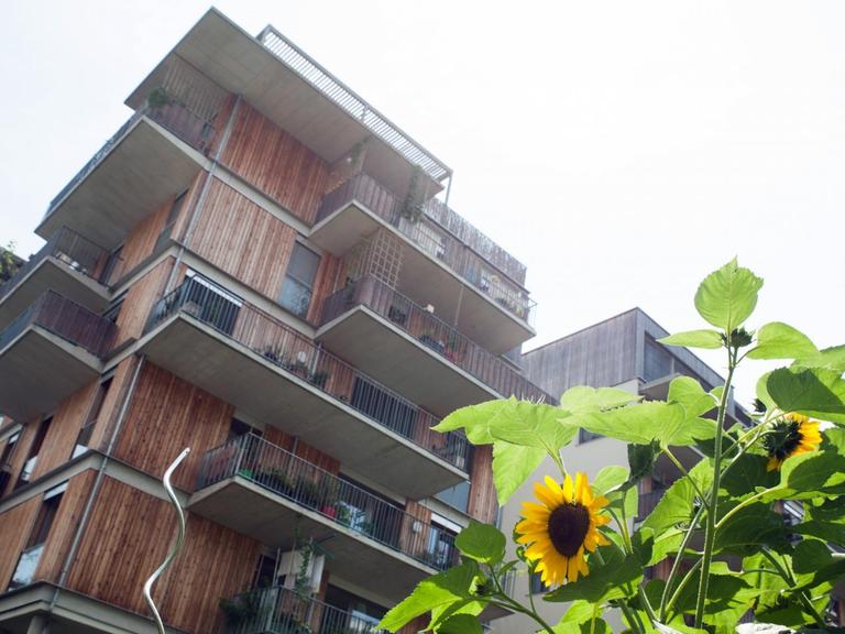 Im Nordbahnhof-Viertel von Wien: Holzverkleidetes Haus mit Balkonen, im Vordergrund Sonnenblumen.