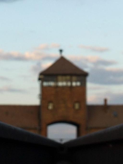 Auschwitz-Birkenau