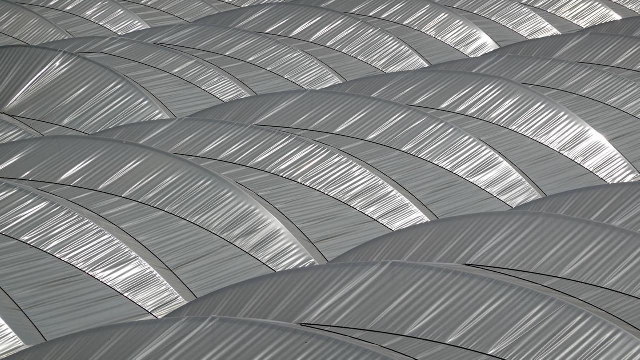 Große Plastikplanen in Weiß bedecken die Felder, so dass man nichts Grünes darunter sieht. Große Plastikplanen in Weiß bedecken die Felder, so dass man nichts Grünes darunter sieht.