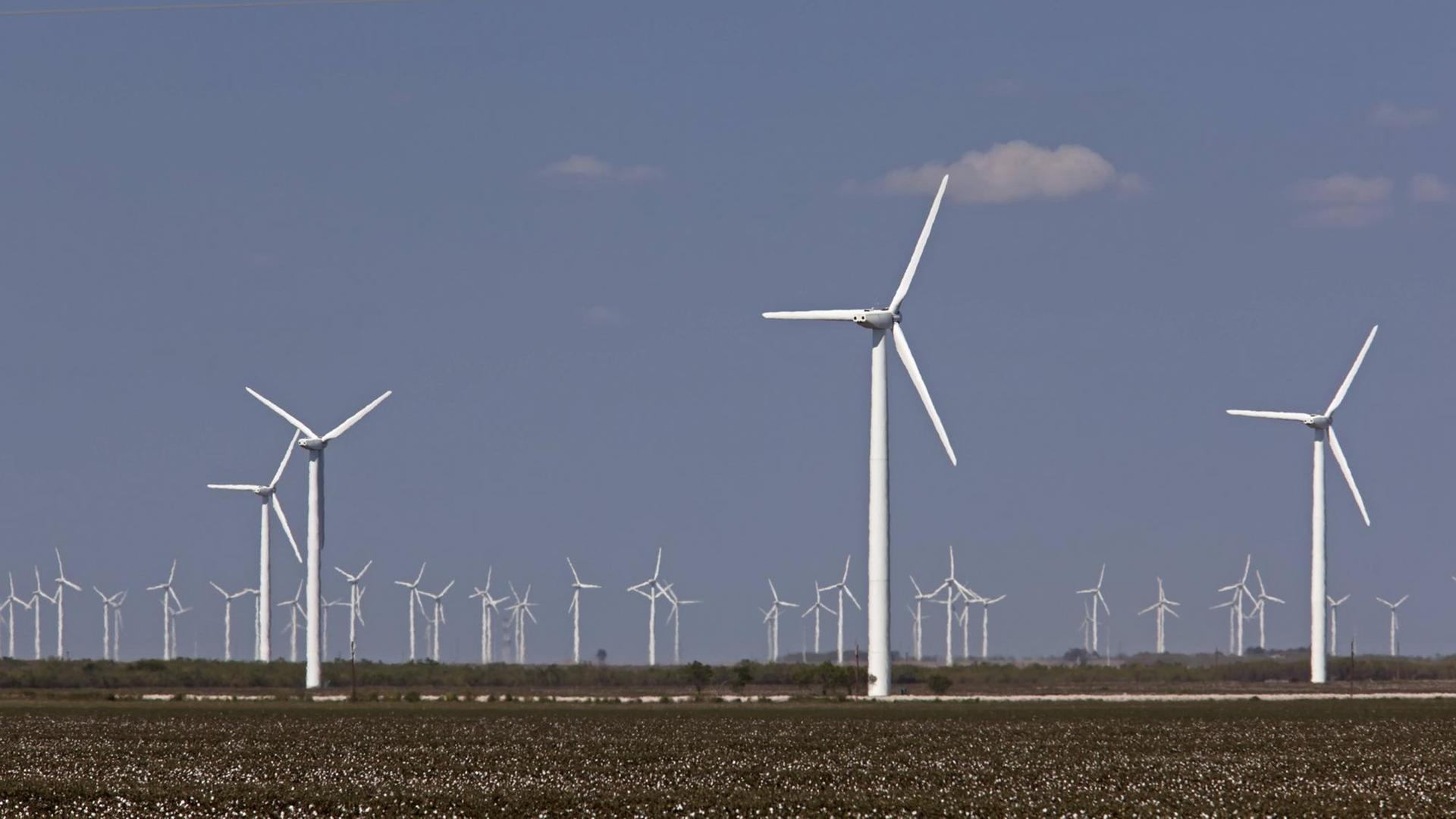 Windräder in einem Baumwollfeld in Colorado City, Texas, USA. Windräder in einem Baumwollfeld in Colorado City, Texas, USA.