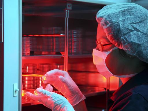 Eine Mitarbeiterin einer Privatklinik in Düsseldorf stellt Petrischalen mit Eizellen in einen Wärmeschrank.