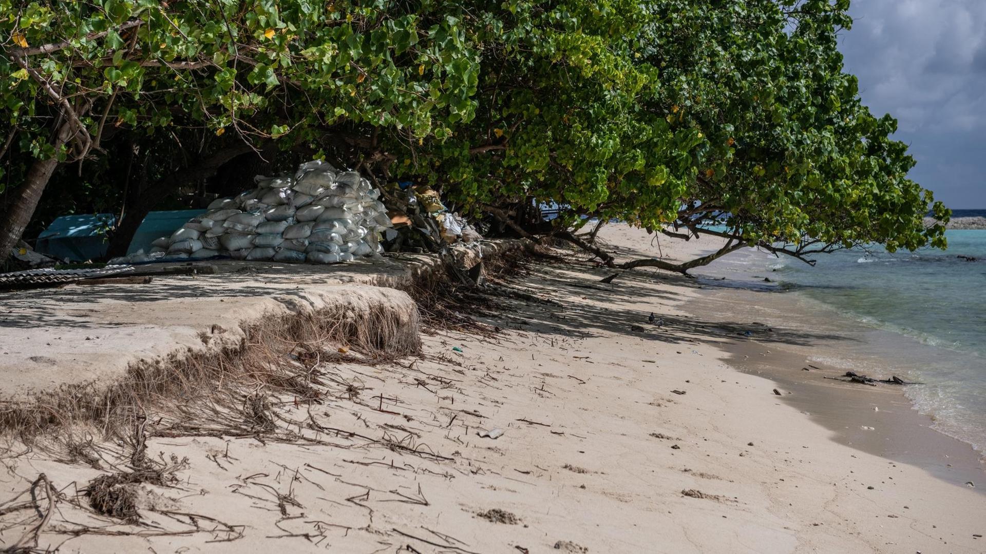 Klimawandel: Der Sandstrand auf den Malediven erodiert, hier Sandsäcke an der Küste von Mahibadhoo auf den Malediven im Dezember 2019. Klimawandel: Der Sandstrand auf den Malediven erodiert, hier Sandsäcke an der Küste von Mahibadhoo auf den Malediven im Dezember 2019.