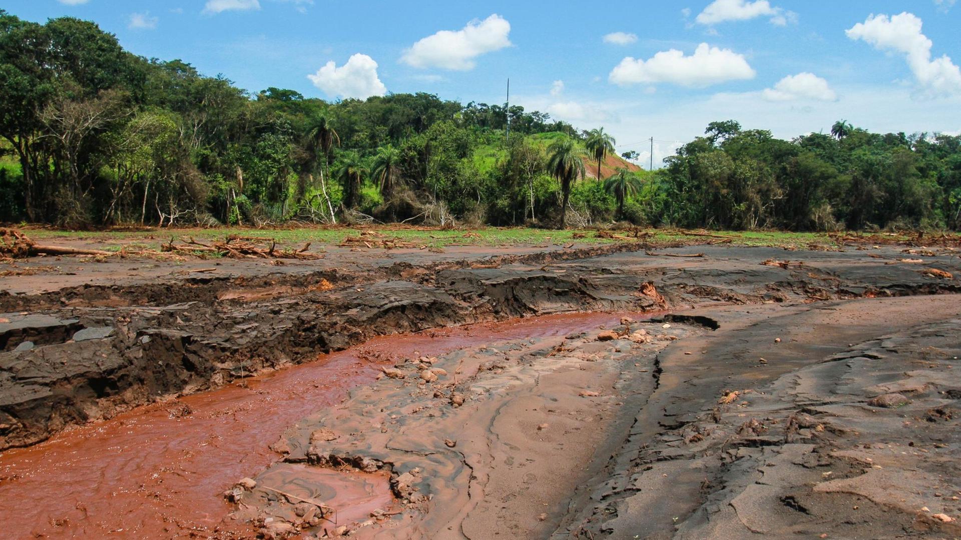 Schlammreste und Rückstände liegen im Stadtviertel Córrego do Feijão. Am 25. Januar 2019 brach der Damm der Eisenerzmine Córrego do Feijão, eine tödliche Schlammlawine setzte sich in Gang.
