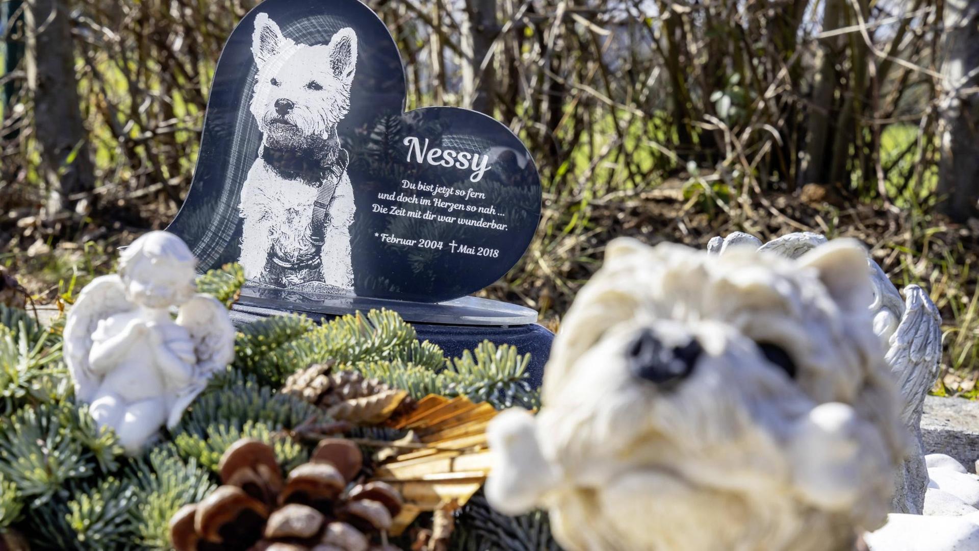 Blick auf ein Hundegrab, herzförmiger Grabstein mit Porträt des Hundes.