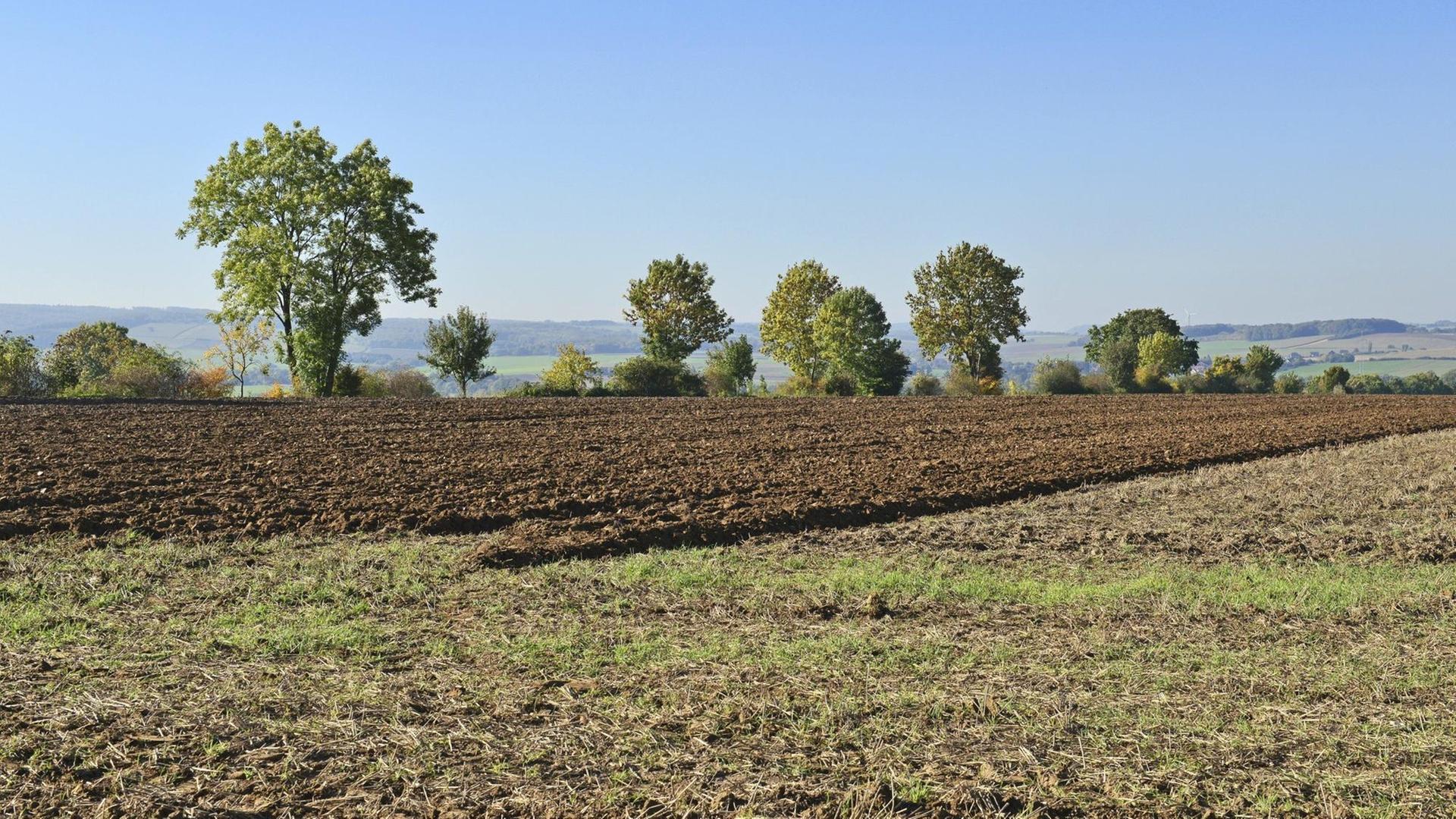 Frisch gepflügter brauner Ackerboden bei Lauenau mit Bäumen hinter dem Feld und einem Blick Richtung Süntel, 11.10.2015 Frisch gepflügter brauner Ackerboden bei Lauenau mit Bäumen hinter dem Feld und einem Blick Richtung Süntel, 11.10.2015