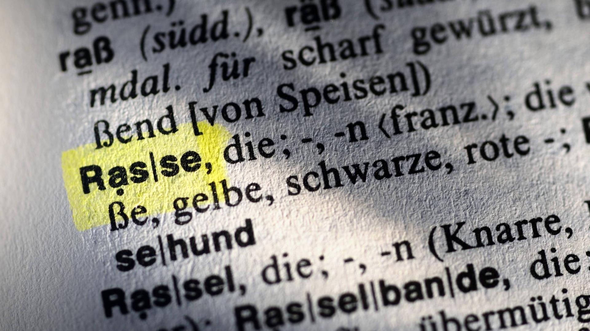 Das markierte Wort Rasse in einem Wörterbuch Das markierte Wort Rasse in einem Wörterbuch