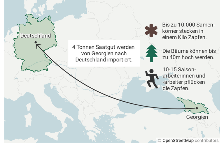 Der Kartenausschnitt zeigt Deutschland auf der linken Bildseite und Georgien auf der rechten. Zwischen den Ländern verläuft ein Pfeil mit der Beschriftung: "4 Tonnen Saatgut werden von Georgien nach Deutschland importiert."
