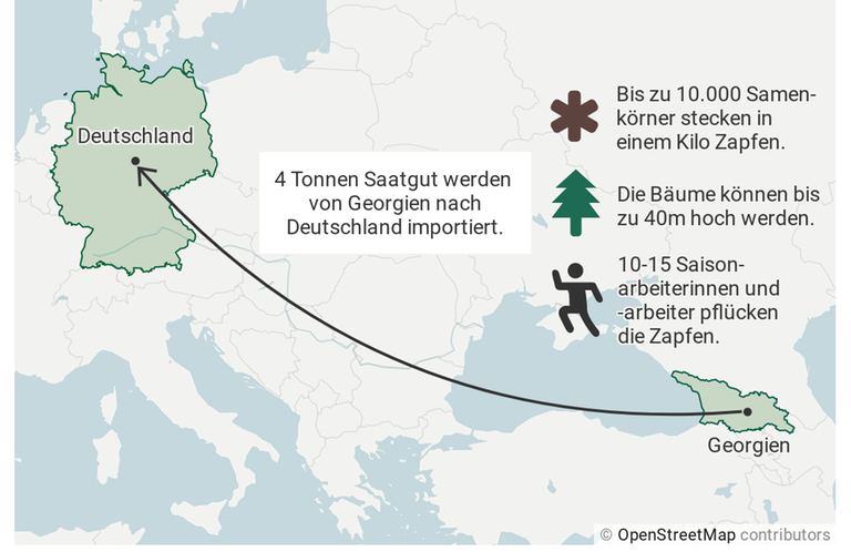 Der Kartenausschnitt zeigt Deutschland auf der linken Bildseite und Georgien auf der rechten. Zwischen den Ländern verläuft ein Pfeil mit der Beschriftung: "4 Tonnen Saatgut werden von Georgien nach Deutschland importiert." Der Kartenausschnitt zeigt Deutschland auf der linken Bildseite und Georgien auf der rechten. Zwischen den Ländern verläuft ein Pfeil mit der Beschriftung: "4 Tonnen Saatgut werden von Georgien nach Deutschland importiert."