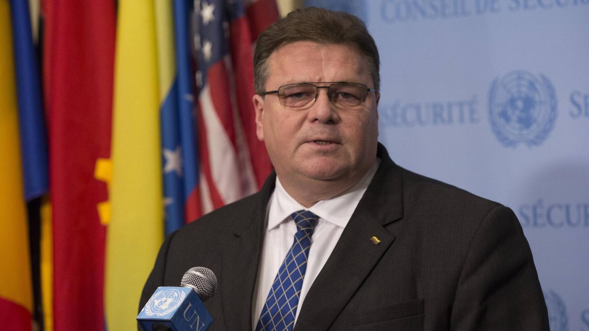 Der litauische Außenminister Linas Antanas Linkevicius. Der litauische Außenminister Linas Antanas Linkevicius.