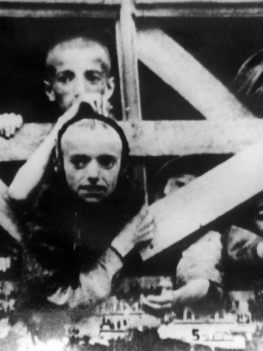 Abgemagerte jüdische Kinder schauen aus einem Viewagon, in dem sie in ein Konzentrationslager deportiert werden. 