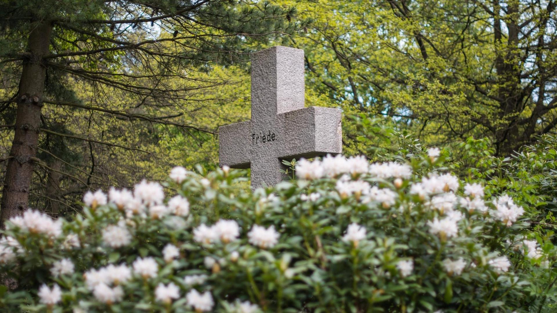 Blick auf eine Rhododendron, dahinter ein Steinkreuz mit der Aufschrift Friede. Blick auf eine Rhododendron, dahinter ein Steinkreuz mit der Aufschrift Friede.