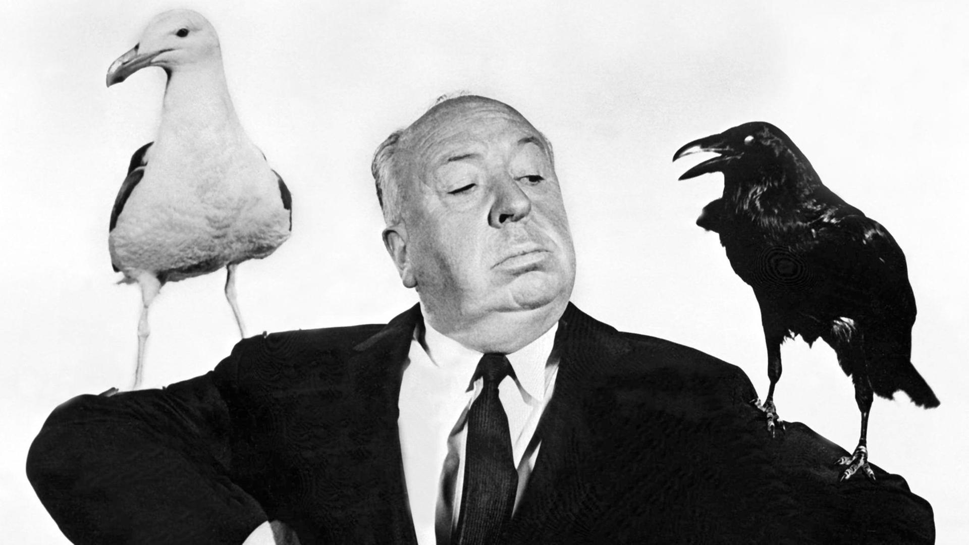 Filmregisseur Alfred Hitchcock mit einer Möwe und einem Raben auf dem Arm Filmregisseur Alfred Hitchcock mit einer Möwe und einem Raben auf dem Arm