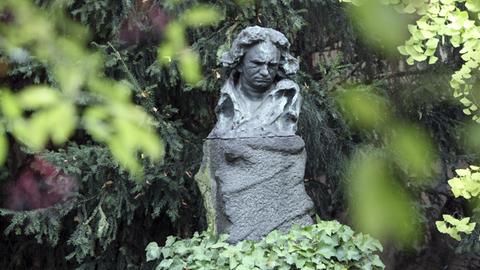 Bronzebüste des Komponisten umringt von Grün im Garten des Beethoven-Hauses in Bonn.