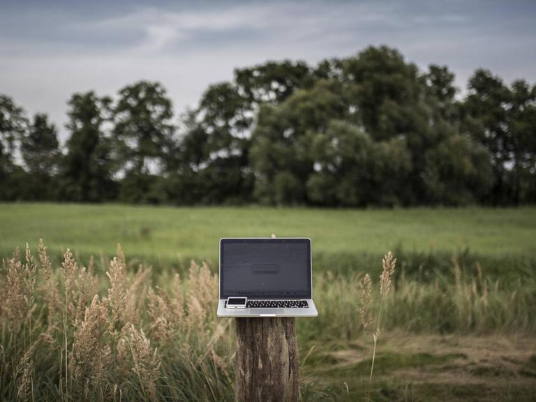 Ein Laptop, mit einem Smartphone darauf, steht auf einem Holzpfeiler in einer grünen Lanschaft.