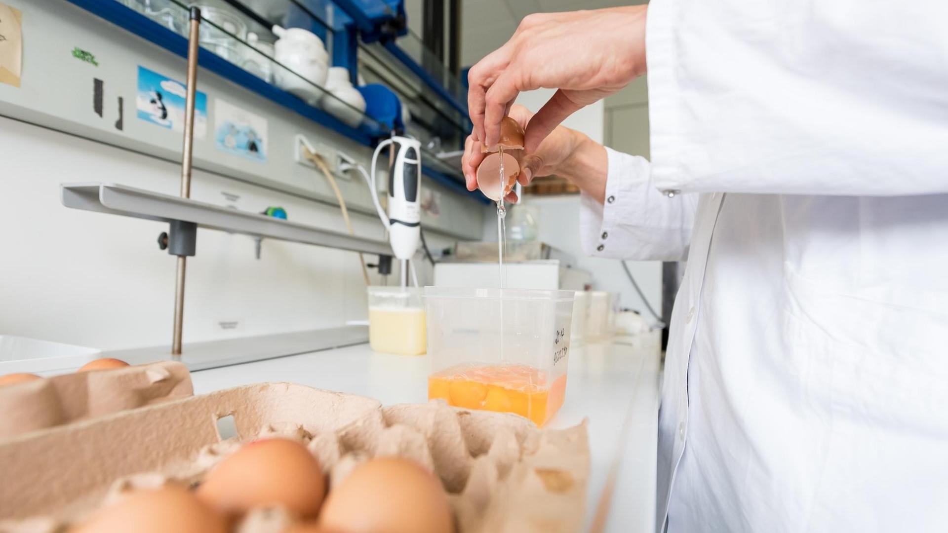 Veterinäramt untersucht Eier auf Rückstände