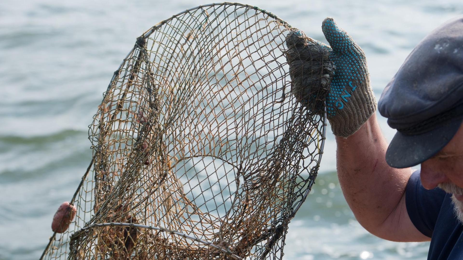 Ein Reusenkorb wird gehalten von einer in einem Handschuh steckenden Hand eines Fischers, vor der Kulisse der Ostsee.