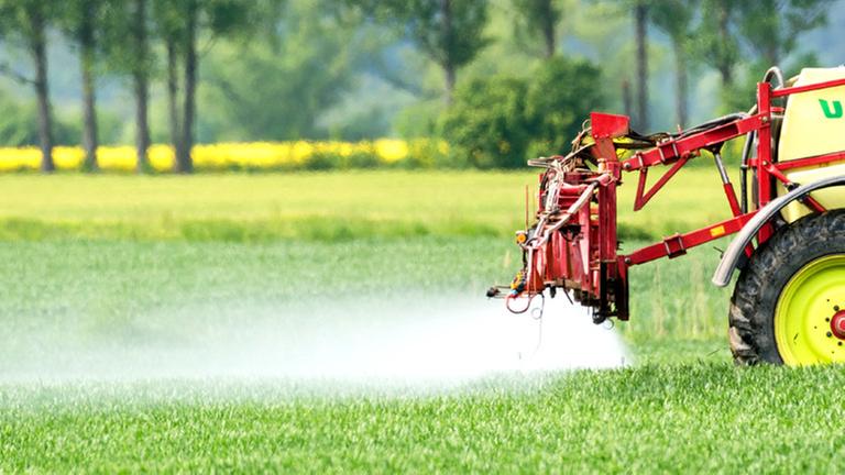 Ein Landwirt fährt mit einer Dünger- und Pestizidspritze am 18.05.2015 über ein Feld mit jungem Getreide nahe Neuranft im Oderbruch (Brandenburg). Foto: Patrick Pleul/dpa Ein Landwirt fährt mit einer Dünger- und Pestizidspritze am 18.05.2015 über ein Feld mit jungem Getreide nahe Neuranft im Oderbruch (Brandenburg). Foto: Patrick Pleul/dpa