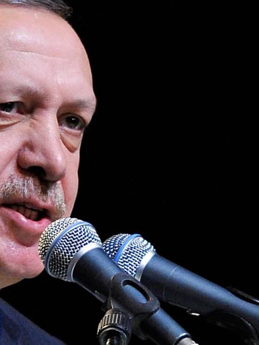 Premier Erdogan will seine Macht in der Türkei ausbauen: Wird er auch noch zum Präsidenten gewählt?