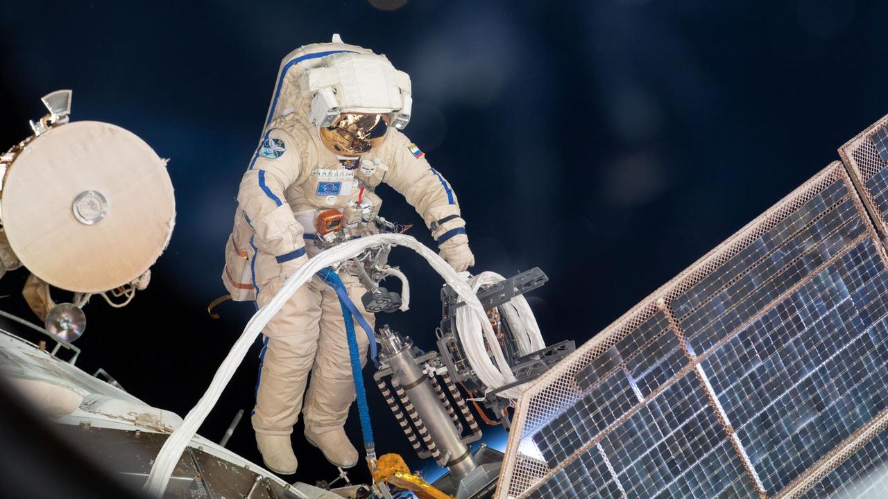 Installation der Icarus-Antenne an der ISS. Die Antenne ermöglicht es, die Bewegungen von Tieren auf der Erde zu beobachten. Installation der Icarus-Antenne an der ISS. Die Antenne ermöglicht es, die Bewegungen von Tieren auf der Erde zu beobachten.
