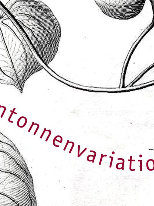 Coverausschnitt des Gedichtbandes "Regenttonnenvariationen" von Jan Wagner. Mit Wagners Buch ist erstmals ein Lyrikband für den Buchpreis nominiert.