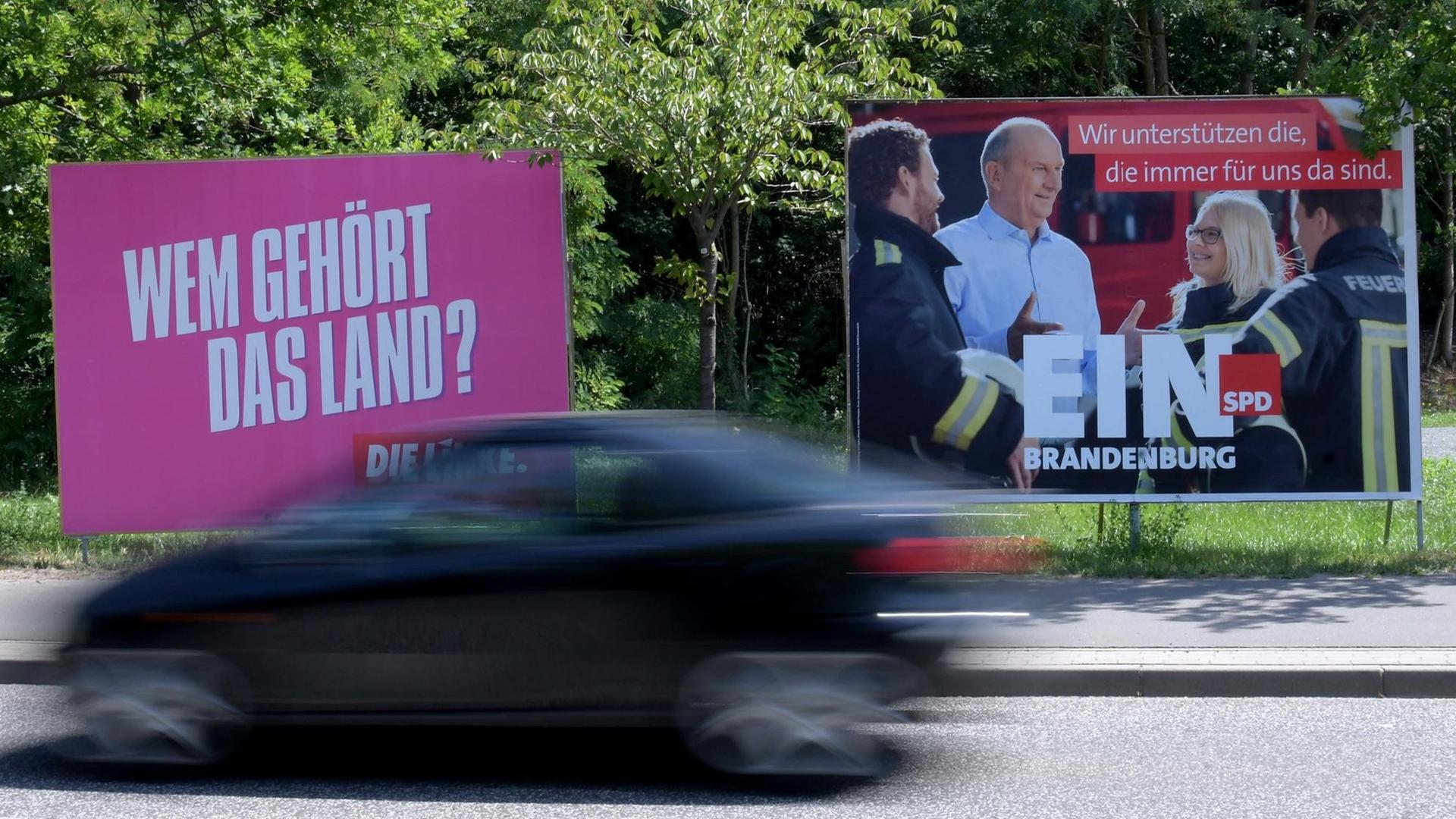 Wahlplakate an einer Straße in Brandenburg Wahlplakate an einer Straße in Brandenburg