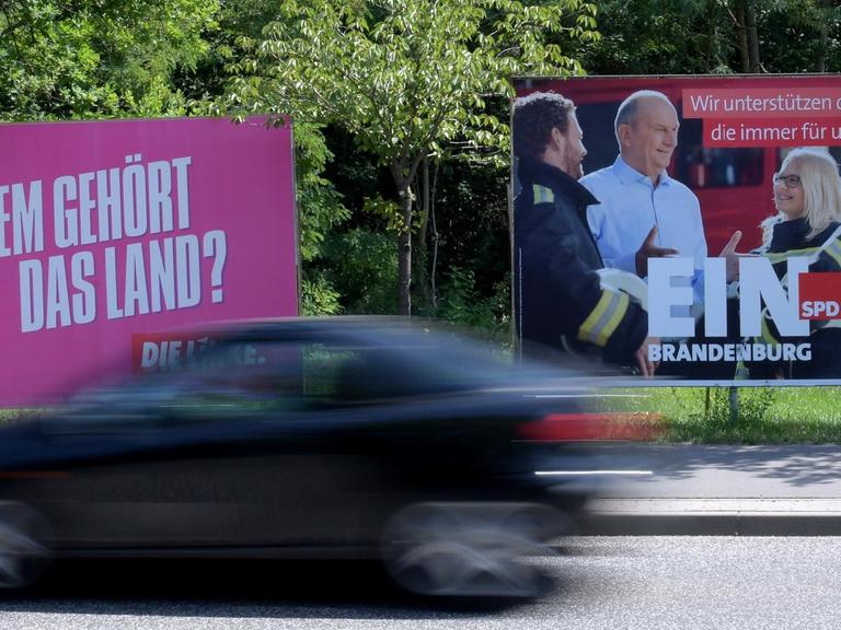 Wahlplakate an einer Straße in Brandenburg