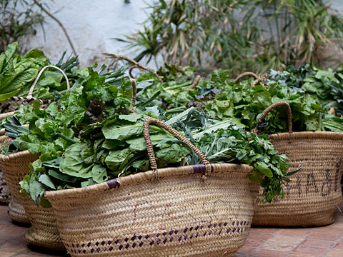 Gemüsekorb mit Bio-Produkten in Casablanca