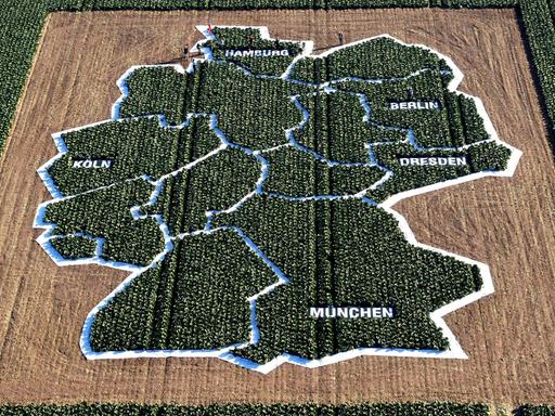 Eine Deutschlandkarte ist auf einem Kohlfeld abgebildet.