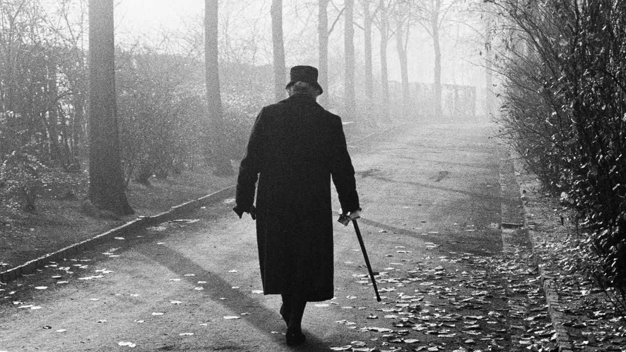 Eine alte Frau mit Hut und Mantel geht an einem Stock einen Parkweg entlang. Es ist eine herbstilche Atmosphäre. Das Foto ist in schwarz-weiß. Eine alte Frau mit Hut und Mantel geht an einem Stock einen Parkweg entlang. Es ist eine herbstilche Atmosphäre. Das Foto ist in schwarz-weiß.