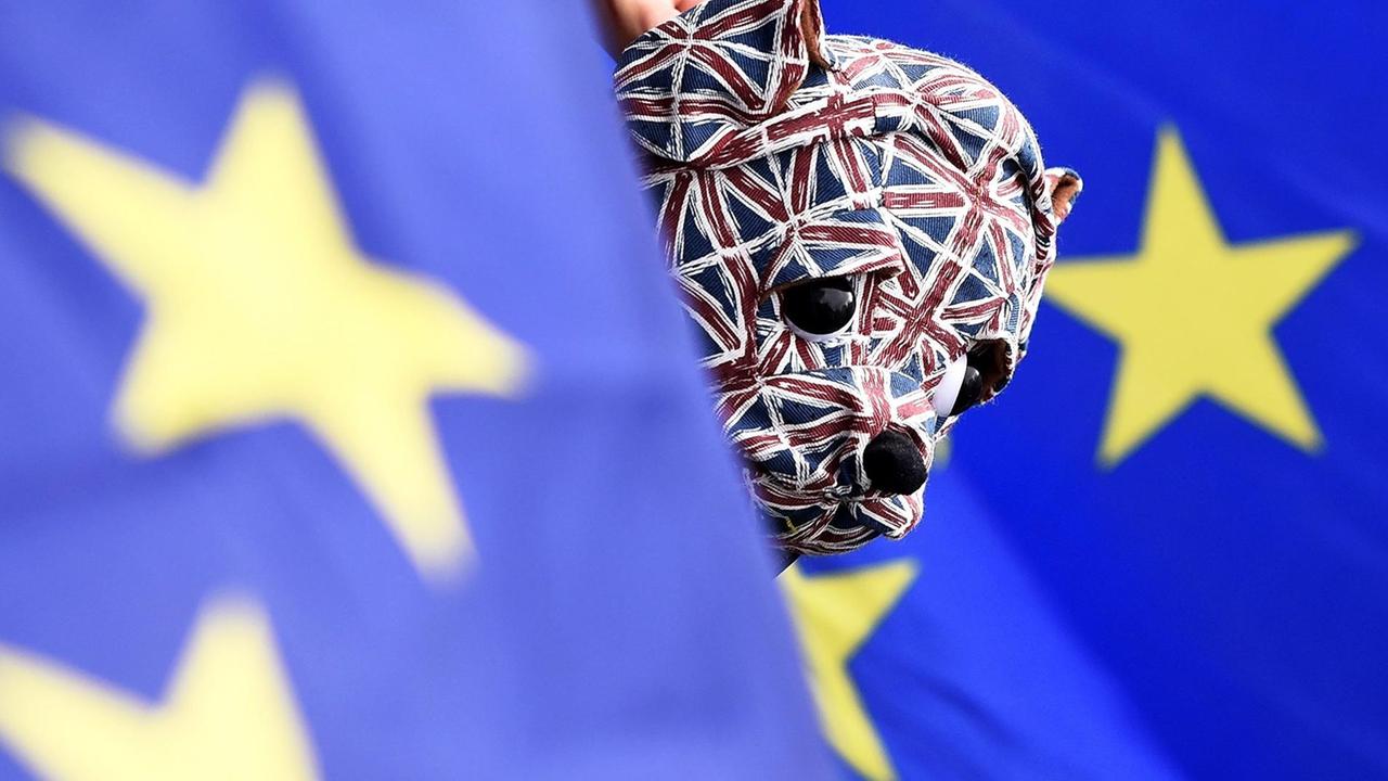 Zwischen England-Fahnen schaut jemand hervor, der eine Bulldoggenmaske mit englischen Fahnenemblemen,anhatt. Zwischen England-Fahnen schaut jemand hervor, der eine Bulldoggenmaske mit englischen Fahnenemblemen,anhatt.