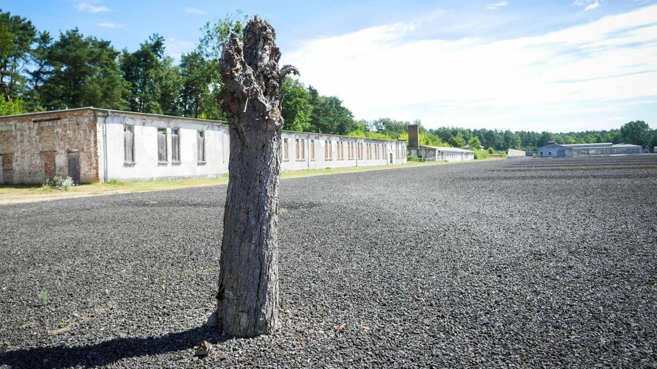 Untersicht einer Plastik in Form eines tragenden Arms auf einem weiten Kiesgelände, in dessen Hintergrund alte Baracken zu sehen sind. Untersicht einer Plastik in Form eines tragenden Arms auf einem weiten Kiesgelände, in dessen Hintergrund alte Baracken zu sehen sind.