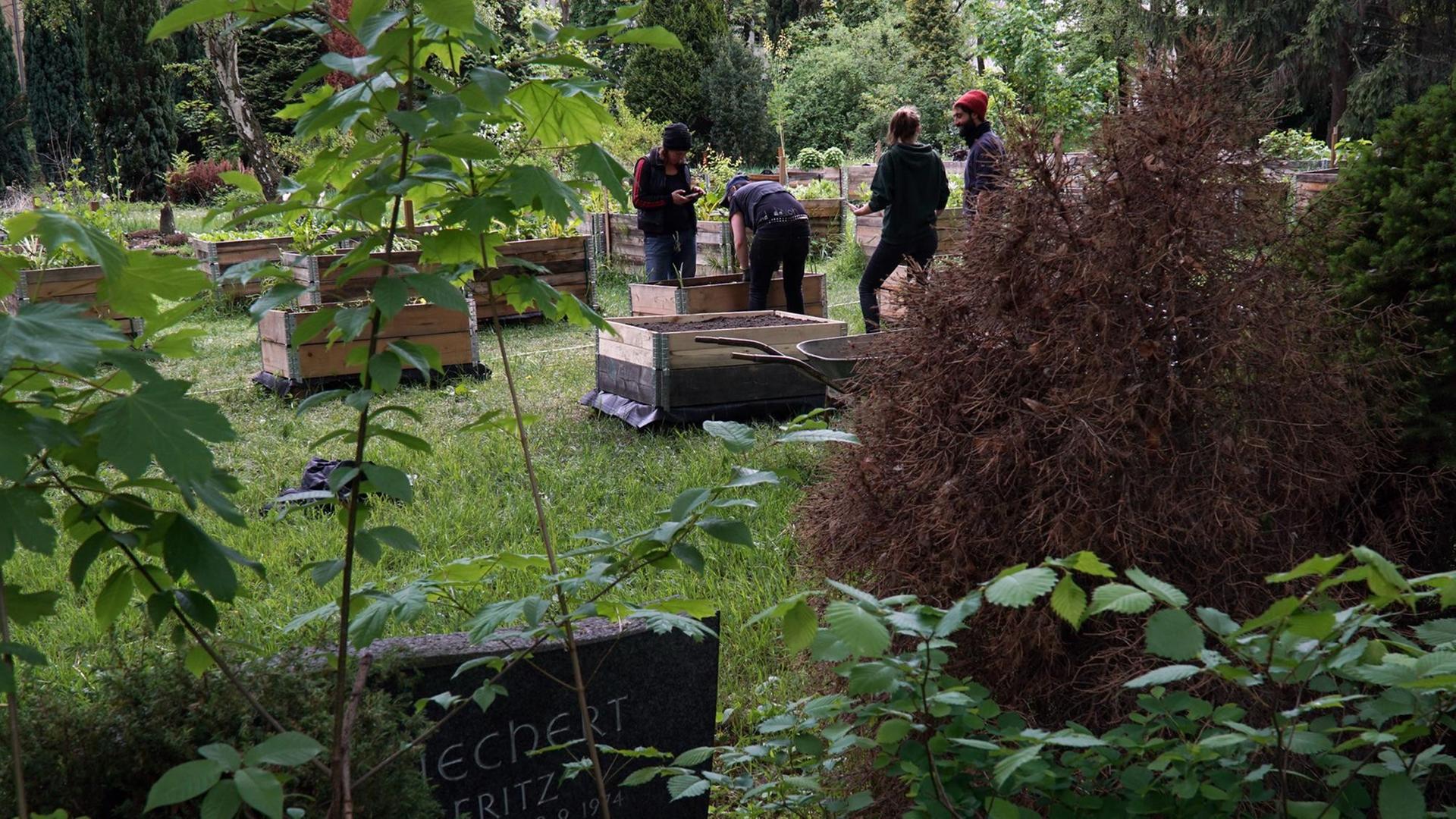 Junge Leute treffen sich auf dem Gelände des Friedhofs der St. Jacobi-Gemeinde in Berlin-Neukölln, um gemeinsam Hochbeete zu bepflanzen 