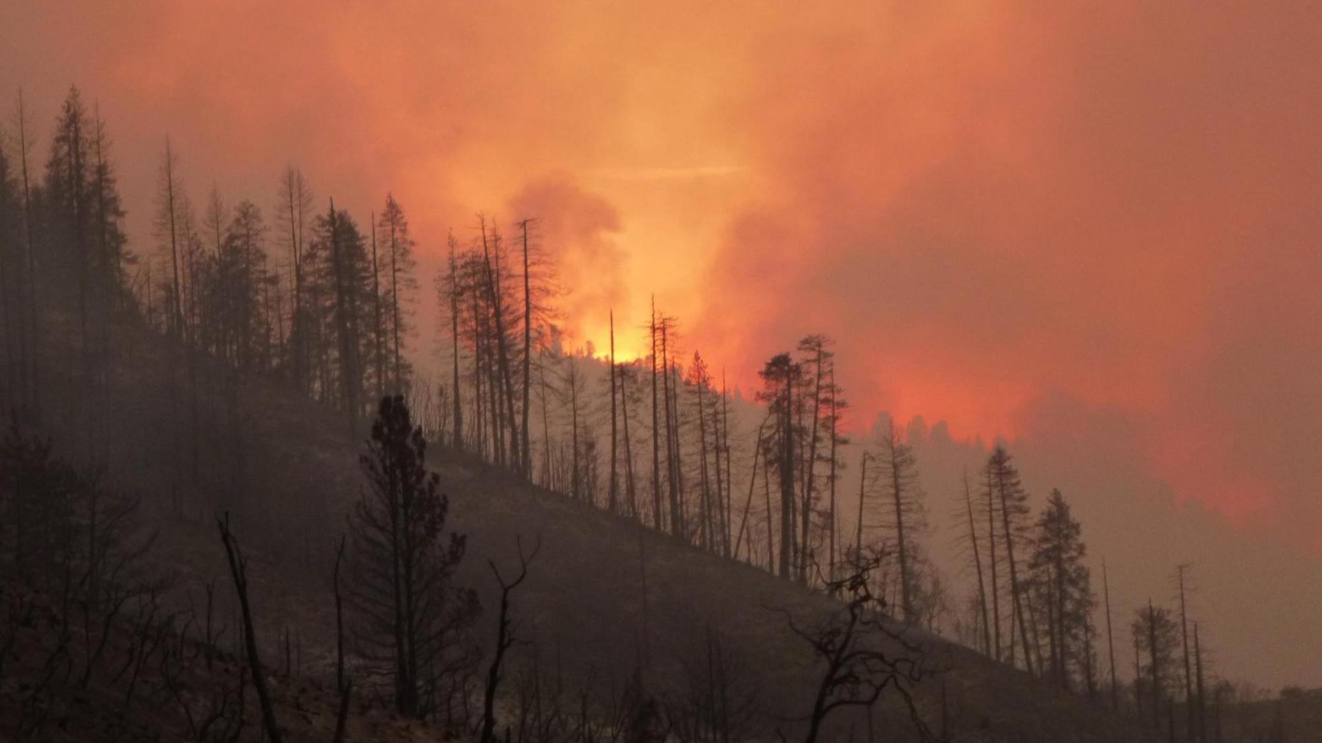 Die Waldbrände in Kalifornien breiten sich weiter aus. Die Waldbrände in Kalifornien breiten sich weiter aus.
