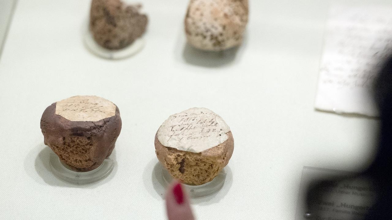 Vier Hungerbrötchen aus dem Jahr 1817 werden in Stuttgart im Haus der Geschichte ausgestellt. Vier Hungerbrötchen aus dem Jahr 1817 werden in Stuttgart im Haus der Geschichte ausgestellt.