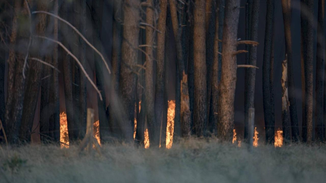 Waldbrand bei Sao Paulo