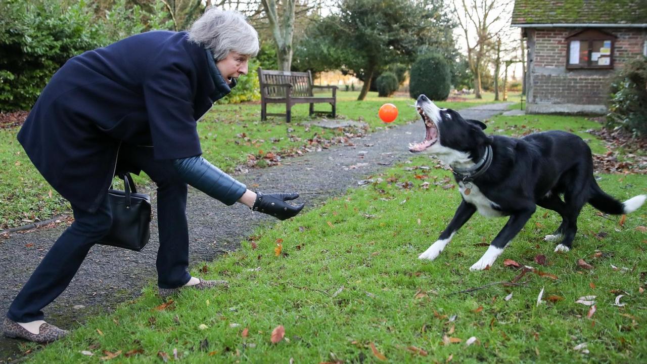 Den Border Collie Blitz aus Maidenhead hat May im Griff - ihre Partei nicht unbedingt Den Border Collie Blitz aus Maidenhead hat May im Griff - ihre Partei nicht unbedingt