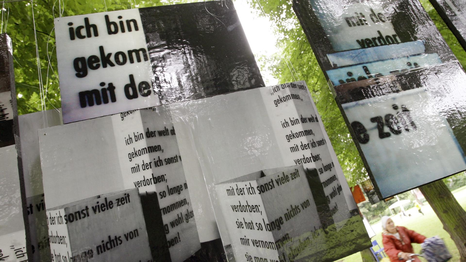 Plakate mit Schriften der Künstlerin Alexandra Vigh hängen am Freitag (11.07.2008) als Lyrik-Installation über den Wegen auf dem Marienfriedhof in Hildesheim.