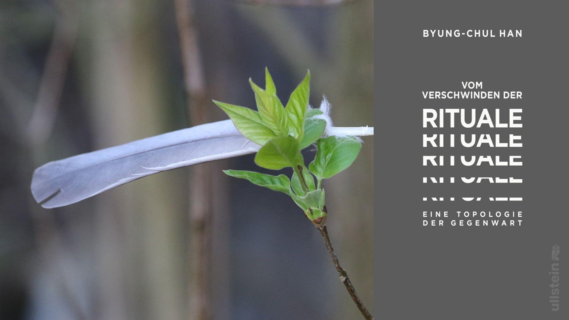Buchcover: Byung-Chul Han: „Vom Verschwinden der Rituale. Eine Topologie der Gegenwart“ Buchcover: Byung-Chul Han: „Vom Verschwinden der Rituale. Eine Topologie der Gegenwart“