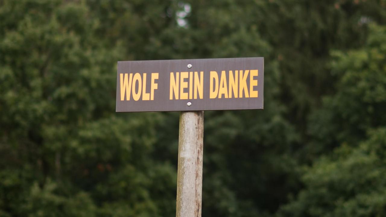 Ein Protestschild "Wolf Nein Danke" steht am 28.09.2016 auf einer Wiese an der Autobahn A27 bei Verden (Niedersachsen). Wölfe sind seit einigen Jahren wieder in Deutschland heimisch und stehen unter Artenschutz. Ein Protestschild "Wolf Nein Danke" steht am 28.09.2016 auf einer Wiese an der Autobahn A27 bei Verden (Niedersachsen). Wölfe sind seit einigen Jahren wieder in Deutschland heimisch und stehen unter Artenschutz.