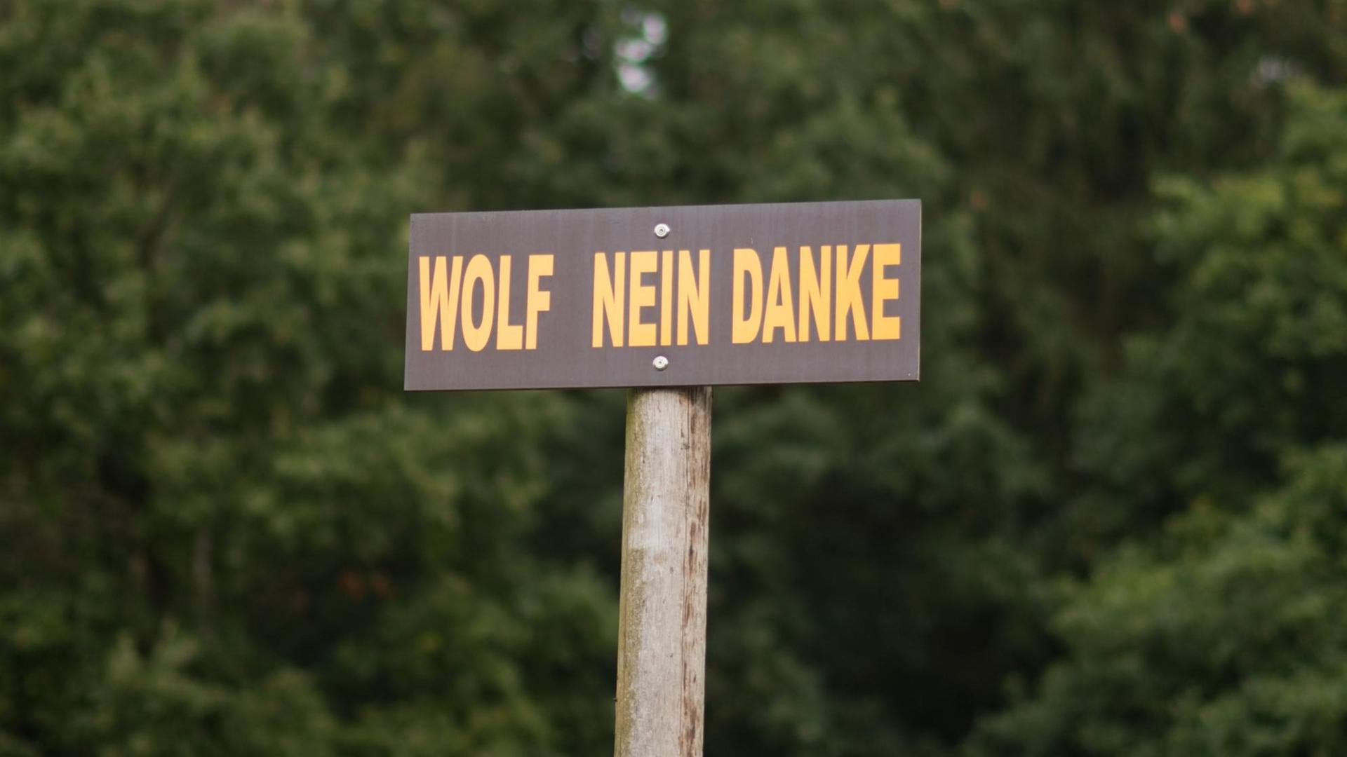 Ein Protestschild "Wolf Nein Danke" steht am 28.09.2016 auf einer Wiese an der Autobahn A27 bei Verden (Niedersachsen). Wölfe sind seit einigen Jahren wieder in Deutschland heimisch und stehen unter Artenschutz. Ein Protestschild "Wolf Nein Danke" steht am 28.09.2016 auf einer Wiese an der Autobahn A27 bei Verden (Niedersachsen). Wölfe sind seit einigen Jahren wieder in Deutschland heimisch und stehen unter Artenschutz.