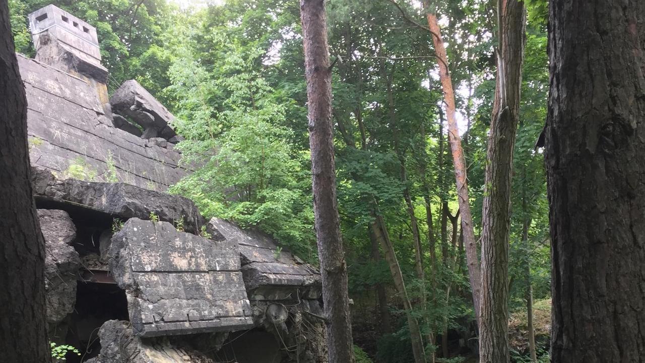 Ein Bunker im Wald nahe dem brandenburgischen Ort Wünsdorf. Ein Bunker im Wald nahe dem brandenburgischen Ort Wünsdorf.