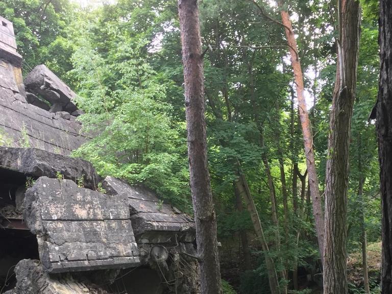 Ein Bunker im Wald nahe dem brandenburgischen Ort Wünsdorf.