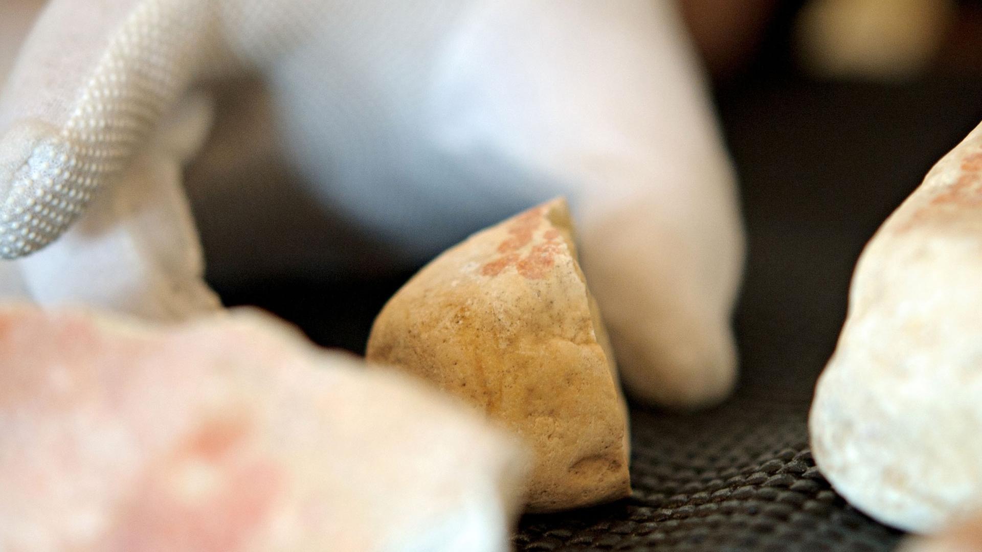 Archäologen haben auf der Schwäbischen Alb Überreste von Malereien gefunden. Archäologen haben auf der Schwäbischen Alb Überreste von Malereien gefunden.