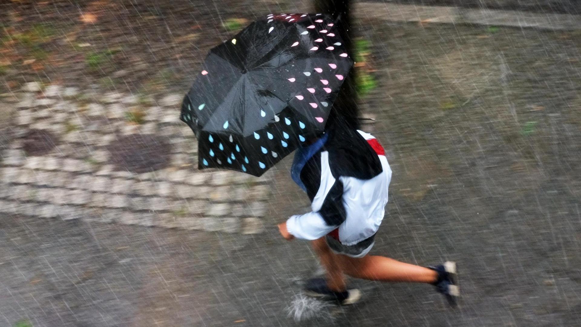 Ein Mann geht mit Schirm auf einem Fußweg durch starken Regen, von oben gesehen Ein Mann geht mit Schirm auf einem Fußweg durch starken Regen, von oben gesehen