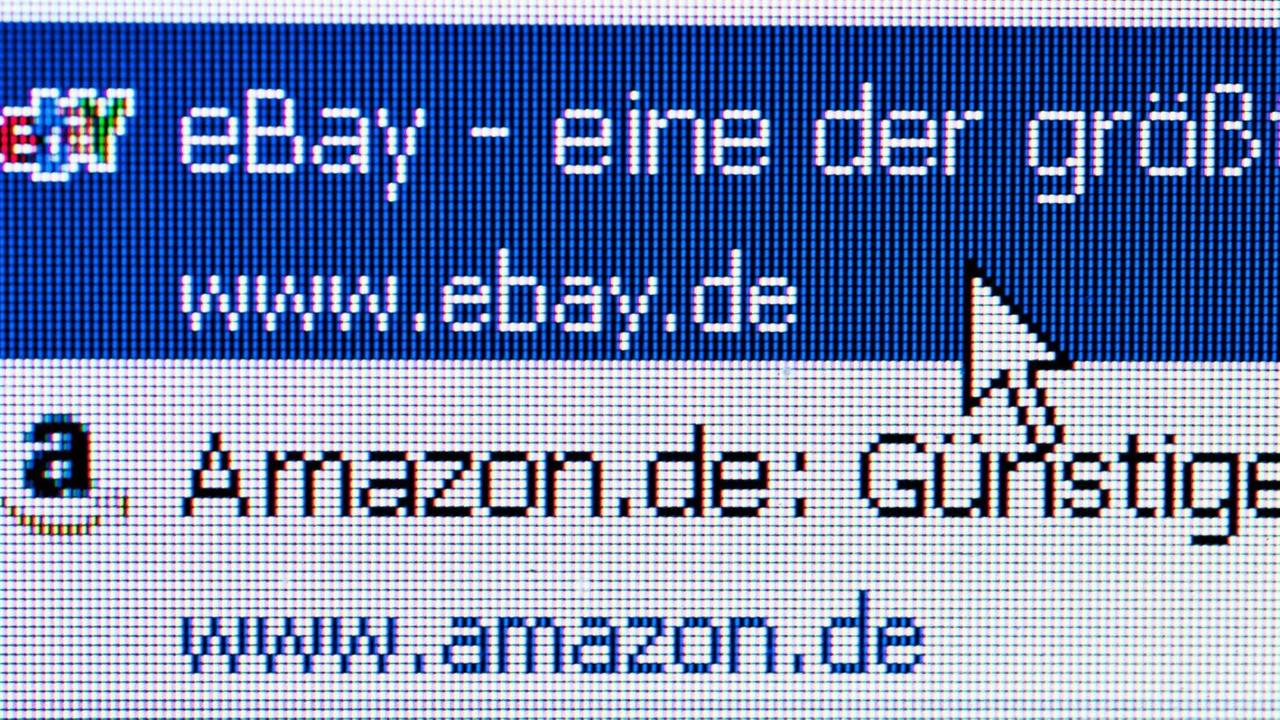 Auf einem Computermonitor sind die Web-Adressen von Ebay und Amazon zu sehen. Auf einem Computermonitor sind die Web-Adressen von Ebay und Amazon zu sehen.