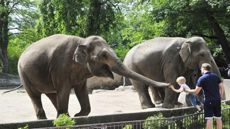 Tierschutz im Gehege - #36 Warum gibt es Zoos?