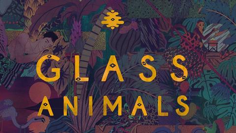 CD-Cover: Glass Animals "Zaba"